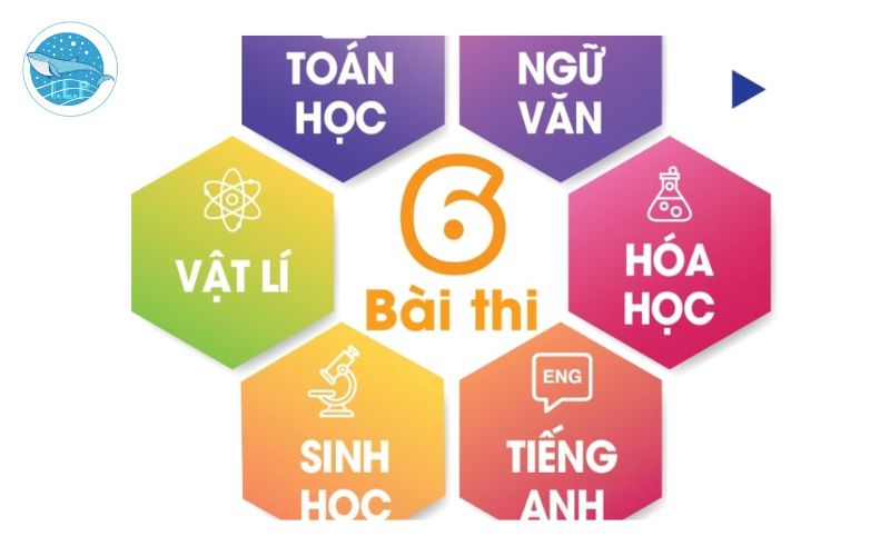 Các môn trong kỳ thi đánh giá năng lực
