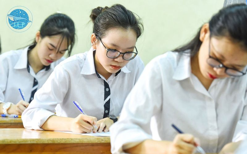 Tìm hiểu ôn thi đánh giá năng lực là gì?