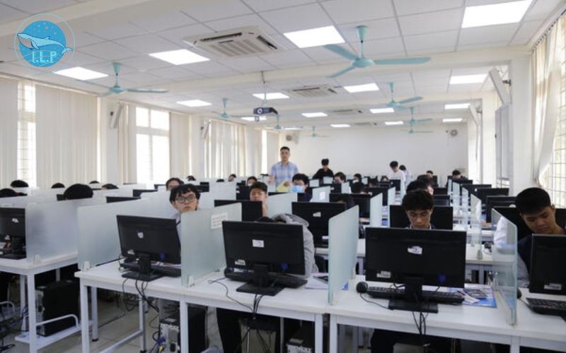 cấu trúc đề thi đánh giá năng lực