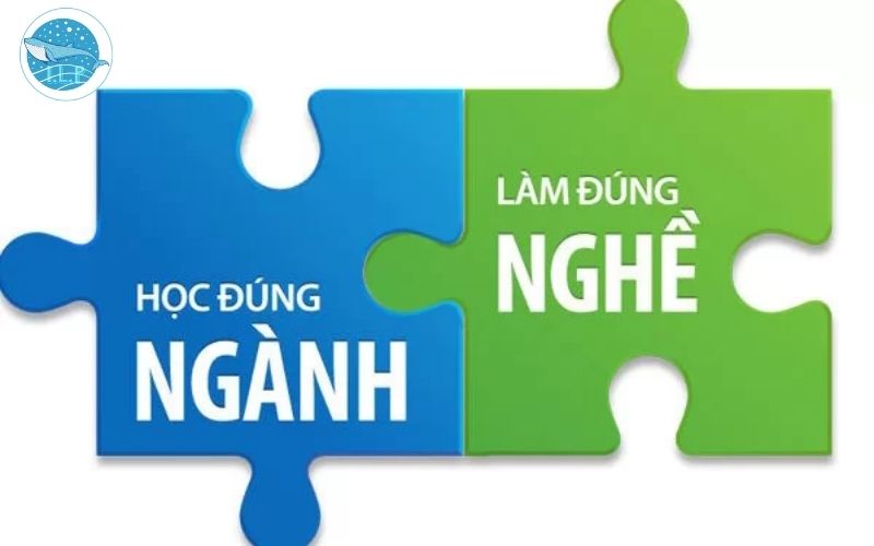 Chọn ngành hay chọn trường