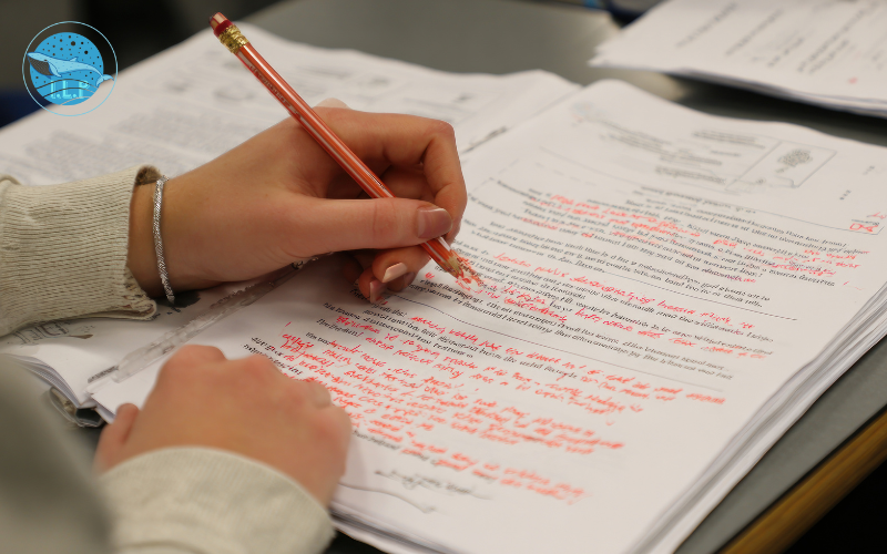 Thời điểm vàng để bắt đầu ôn thi đánh giá năng lực