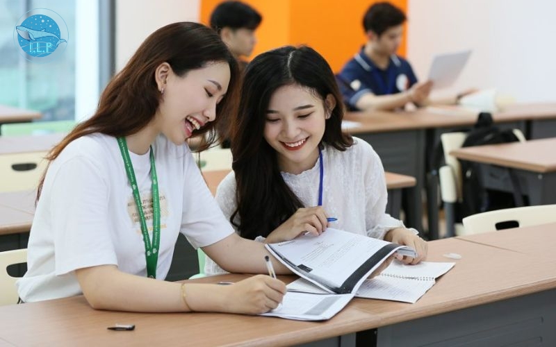 Gợi ý theo nhóm ngành cho học sinh học lực khá