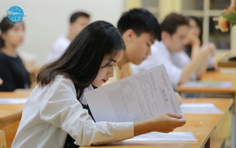 Tư duy định lượng là gì? Tìm hiểu chi tiết